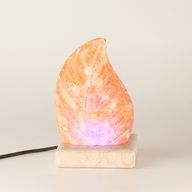 USB leaf Shaped (Multi)