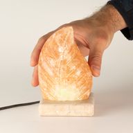 USB leaf Shaped (Multi)