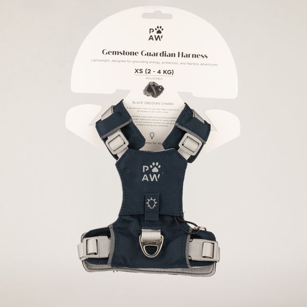 PAW - XS (2-4Kg) Dog Step-in Guardian Harness with Reflective Mesh - Rock Grey - Black Obsidian Charm