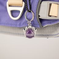 PAW - S (4-8Kg) Dog Step-in Guardian Harness with Reflective Mesh - Lavender - Amethyst Charm