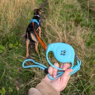 Paw Pet Leash - Elephant Strap - Blue - 2m
