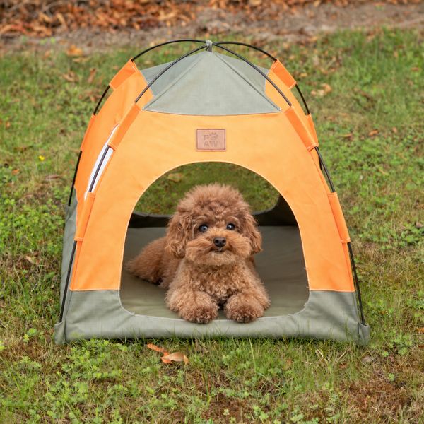 PAW Wholesale Pet Beds & Cosy Pet Tents