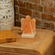 USB Angel Shaped (Multi)