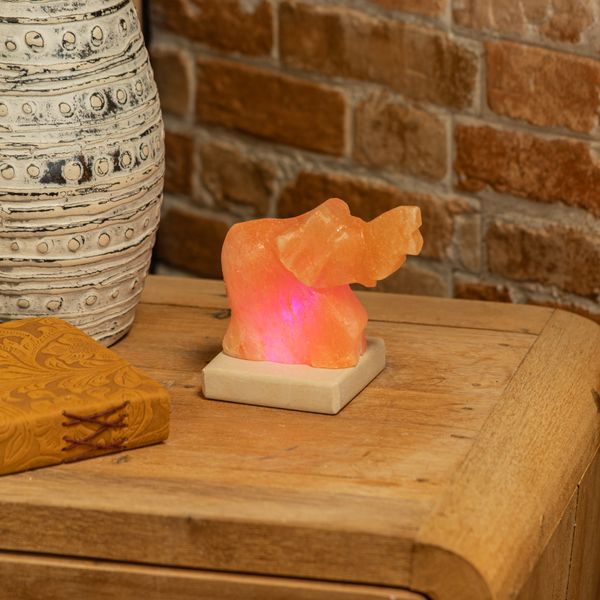 USB Elephant Shaped (Multi)