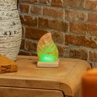 USB leaf Shaped (Multi)