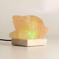 USB Toad Shaped (Multi)