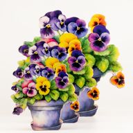Wooden House Plants - Large Pansy