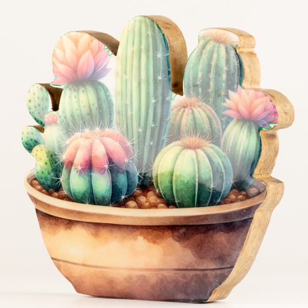 Wooden House Plants - Large Cactus Garden