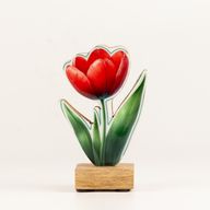 Wooden House Plants - Mini Tulip