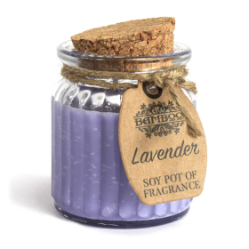 2x Lavender Soy Pot of Fragrance Candles