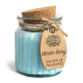 2x Winter Berry Soy Pot of Fragrance Candles
