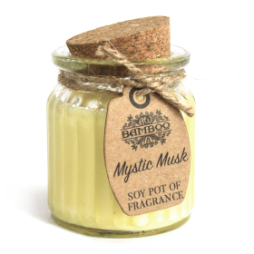 2x Mystic Musk Soy Pot of Fragrance Candles