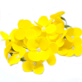 10x Craft Soap Flowers - Hyacinth Bean - Yellow
