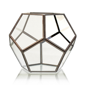 Glass Terrarium - Large Octagon