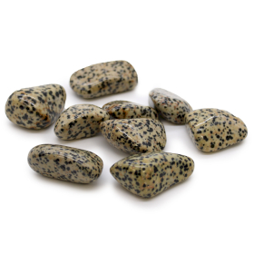 18x XL Tumble Stones - Dalmation Stone