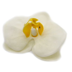 10x Craft Soap Flower - Paeonia - Cream