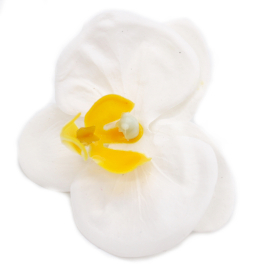 10x Craft Soap Flower - Paeonia - White