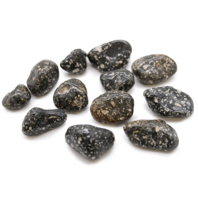 12x Medium African Tumble Stones - Guinea Fowl Medium