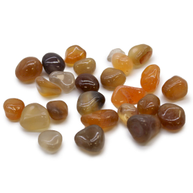 24x Small African Tumble Stones - Carnelian Agate - Mozambique
