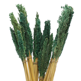 6x Cantal Grass Bunch - Teal