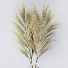 3x Rayung Grass Blond - 2m