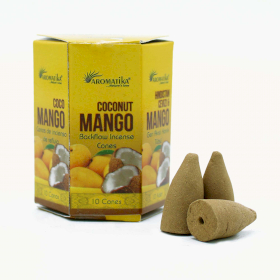 Pack of 10 Masala Backflow Incense - Coconut & Mango