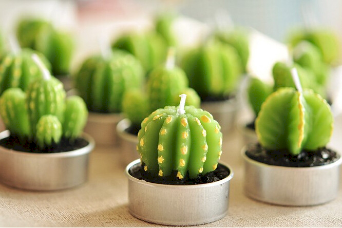 Cactus Candles - Ancient Wisdom Dropshipping