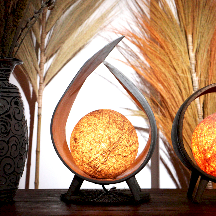 Natural Coconut Lamp - AWDropship