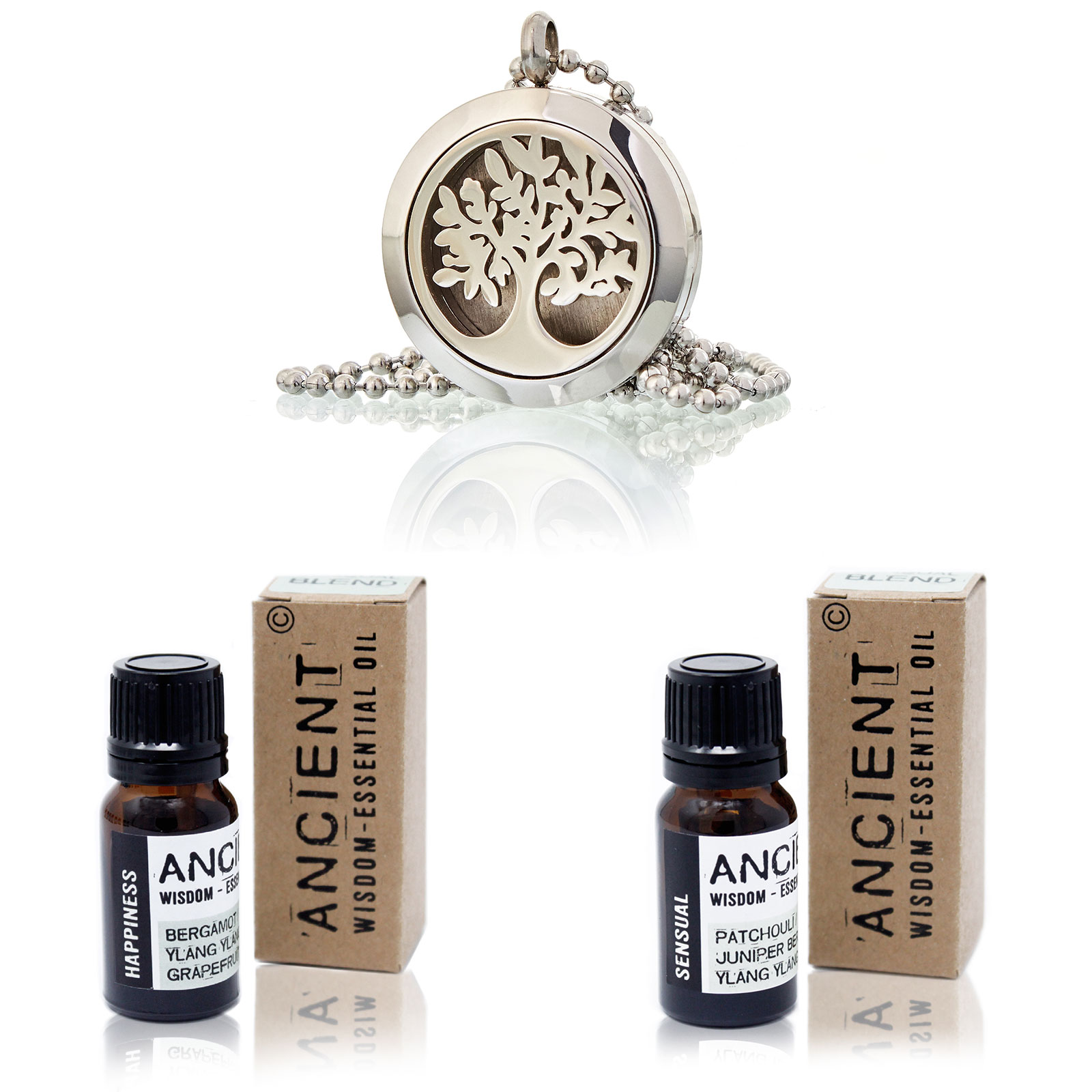 Diffuser Necklace and Essential Oil Blends Treat Box