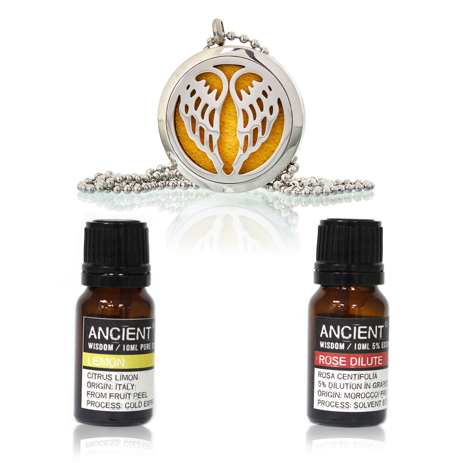 Diffuser-Necklace-and-Essential-Oils-Treat-Box