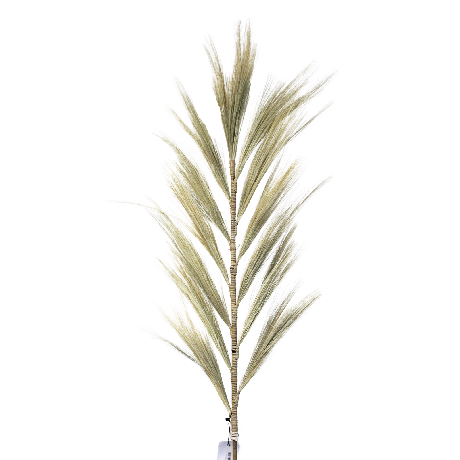 Rayung Grass Blond - 1.6m