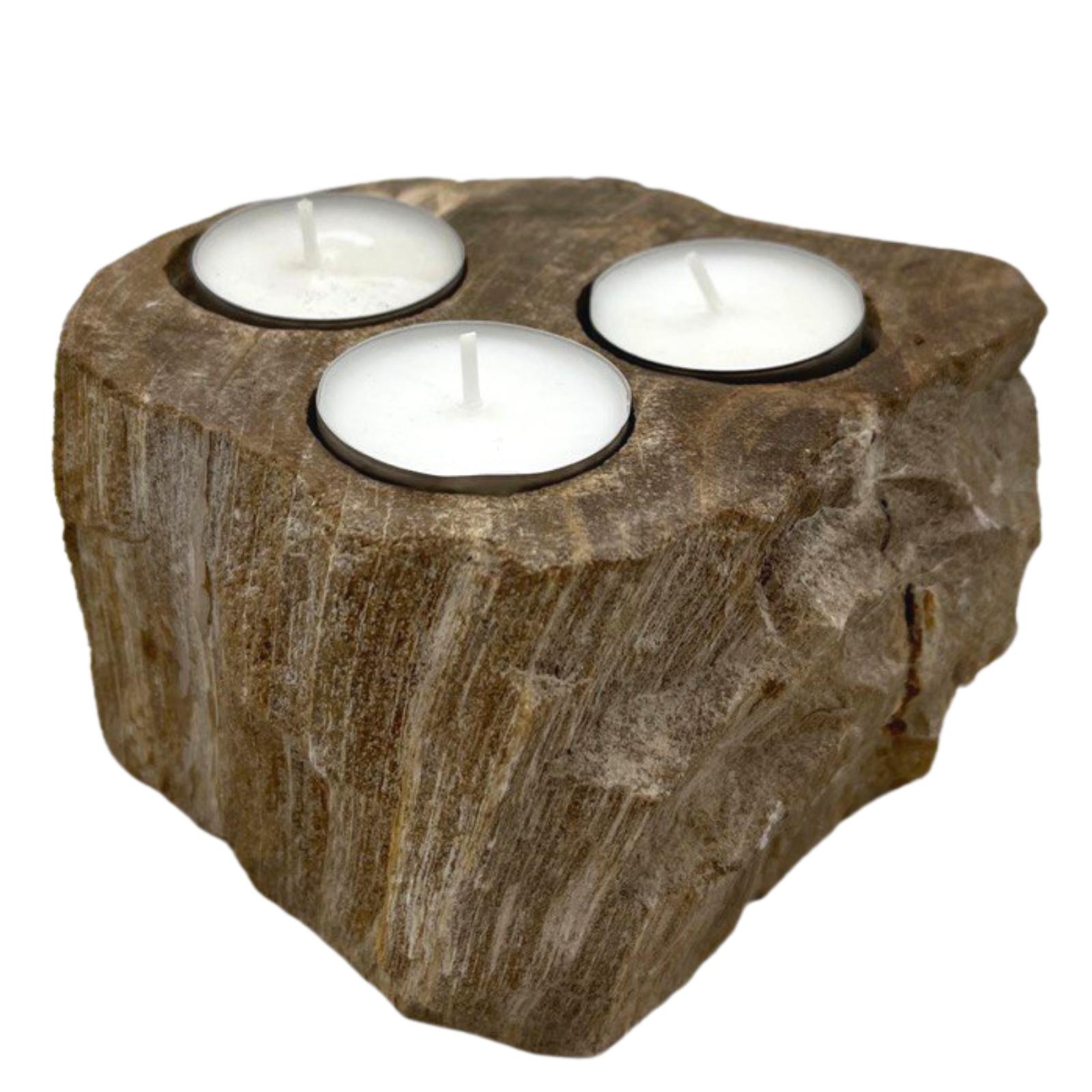 Petrified Wood Candle Holder - Triple