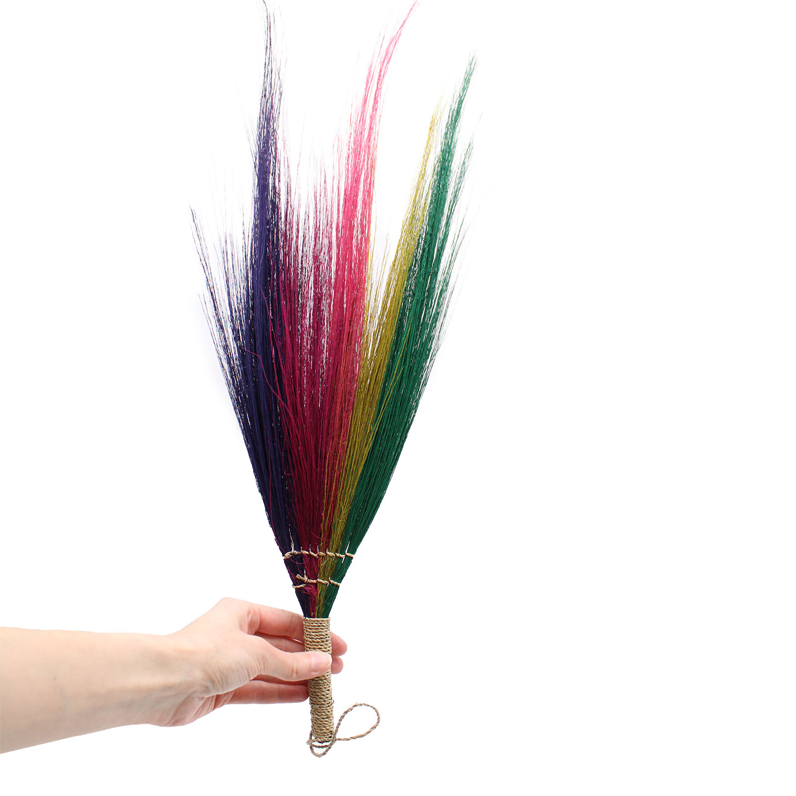 Set 4 - Pampas Broom - Rainbow Colours