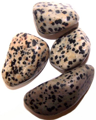 L Tumble Stones - Dalmation Stone
